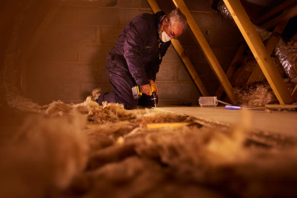 Insulation Replacement Services in Shady Side, MD